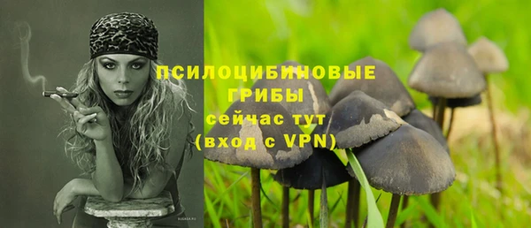 mix Нязепетровск