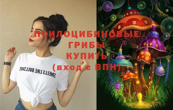 хмурый Нягань