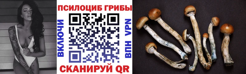 Псилоцибиновые грибы Psilocybine cubensis  Купить закладки  Мамоново 